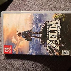 Nintendo Switch Zelda